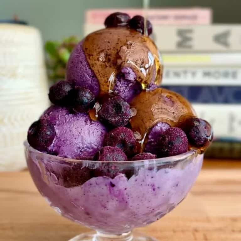 healthy protein packed blueberry ice cream with fresh blueberries and maple syrup