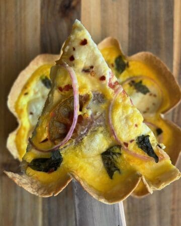 slice of tomato burrata tortilla quiche with caramelized onion