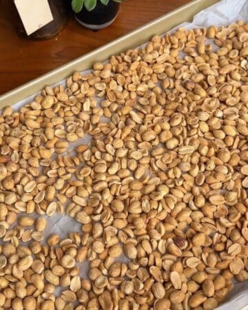 Close-up of roasted peanuts spread on a baking sheet.