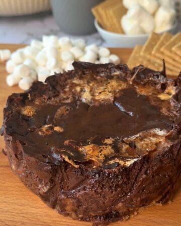 Rich chocolate s'mores cheesecake with gooey center and melted chocolate topping.