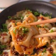 Dumpling with chili crisp, green onion, and sesame seeds in a pan, highlighting the dish's flavors and ingredients.
